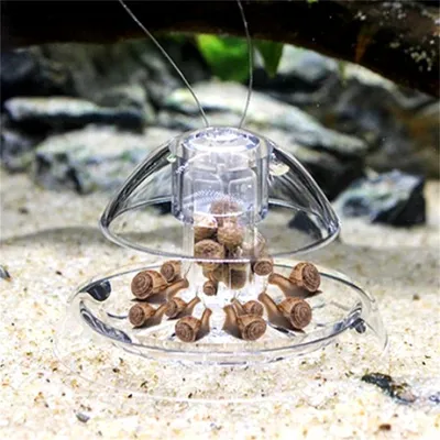 IntiMeg Piège à escargots pour aquarium