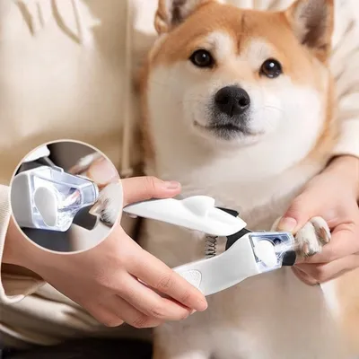 IntiMeg Ciseaux à ongles LED pour animaux de compagnie