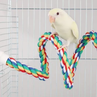 IntiMeg Corde de grimpe en coton pour perroquets