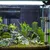 IntiMeg Barrette de chauffage pour aquarium