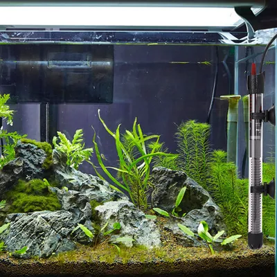 IntiMeg Barrette de chauffage pour aquarium