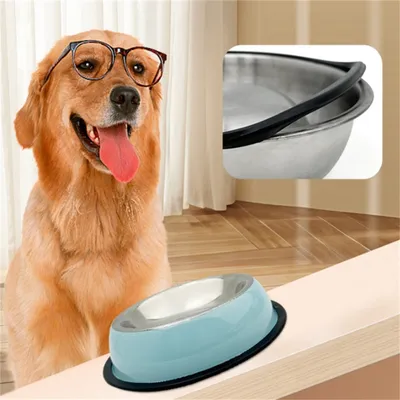 IntiMeg Bol pour chats et chiens en acier inoxydable