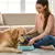 IntiMeg Bol pour chats et chiens en acier inoxydable