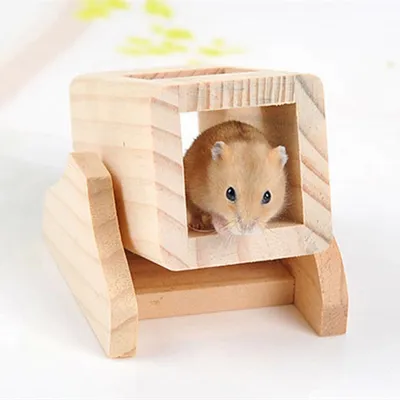 IntiMeg Cabane en bois avec tonneau à bascule pour hamster