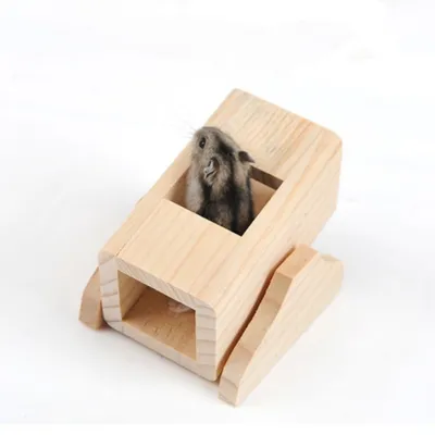 IntiMeg Hamster Bascule