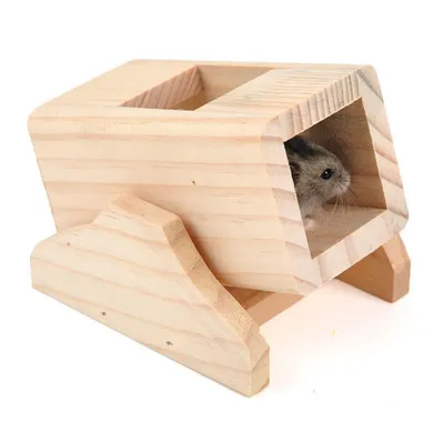 IntiMeg Hamster Bascule IntiMeg Hamster Bascule