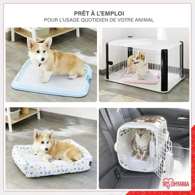 Alaise pour chiens et chiots, protections pour déjections canines