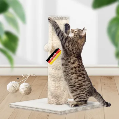Rohrschneider Arbre à chat/tronc XL tissu velours côtelé