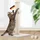 taille 1, beige