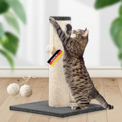 Rohrschneider Arbre à chat/tronc XL tissu velours côtelé