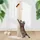 taille 2, beige