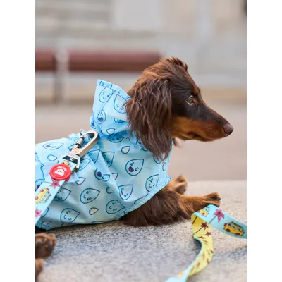 Dukier Imperméable pour chien Raindrops