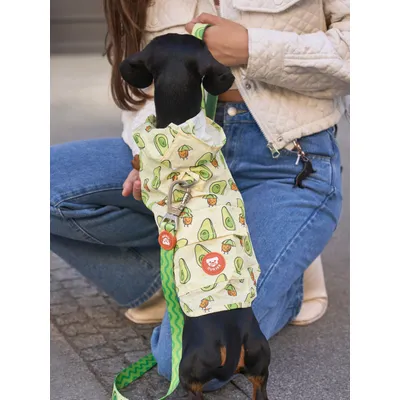 Dukier Imperméable pour chien Avocado
