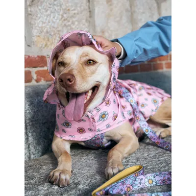Dukier Imperméable pour chien Flower Power