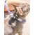Dukier Collier Chess Board pour chien