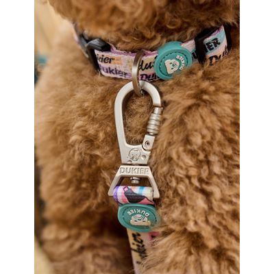 Dukier Collier Cool School pour chien