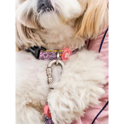 Dukier Collier Flower Power