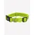 Dukier Collier Lime pour chien Dukier Collier Lime pour chien
