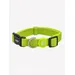 Dukier Collier Lime pour chien