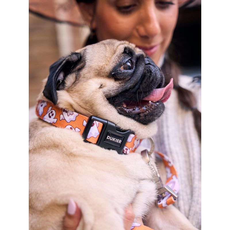 Dukier Collier Booh! pour chien