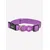 Dukier Collier Purple pour chien Dukier Collier Purple pour chien