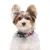 Dukier Collier Churros pour chien