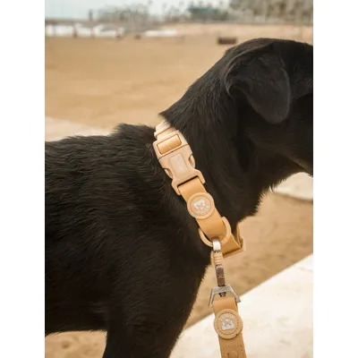 Dukier Collier  Waterproof