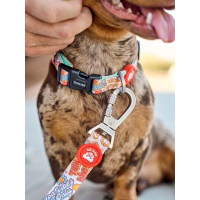 Dukier Collier Stickers