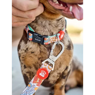 Dukier Collier Stickers