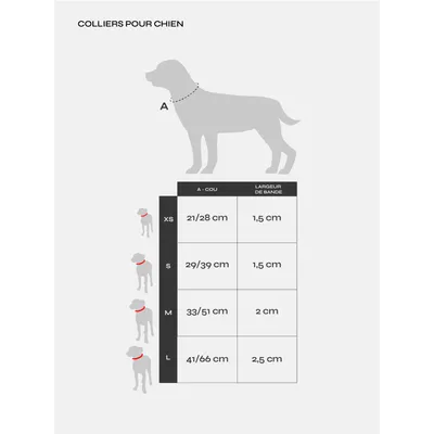 Dukier Collier Blue pour chien