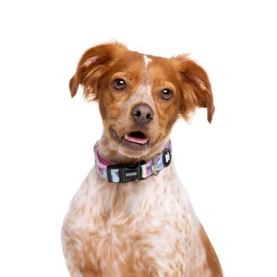 Dukier Collier Pink Galaxy