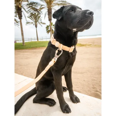 Dukier Collier  Waterproof