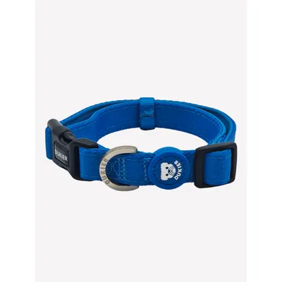Dukier Collier Blue pour chien