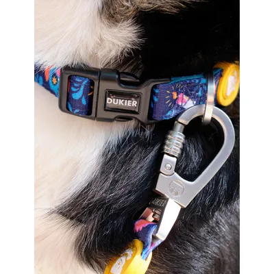 Dukier Collier Catrina pour chien