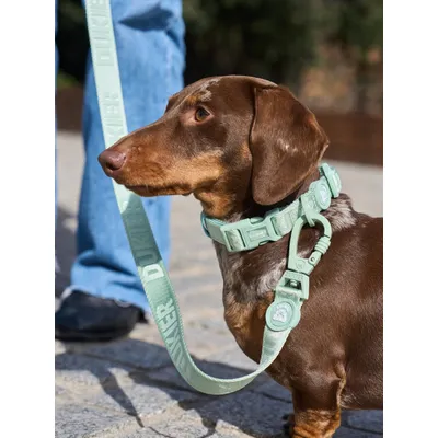 Dukier Collier Soft Green