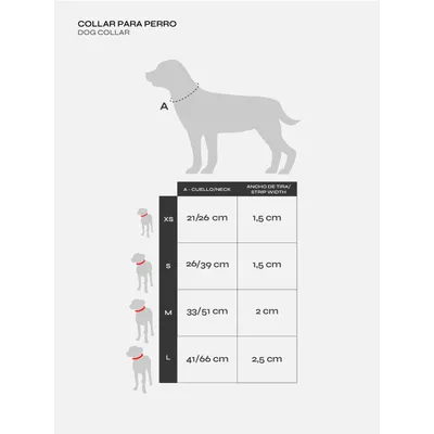 Dukier Collier Catrina pour chien