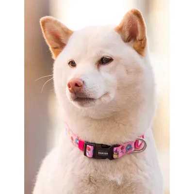 Dukier Collier Princess