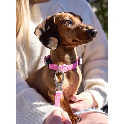 Dukier Collier Pink