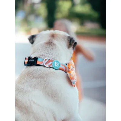 Dukier Collier Peace