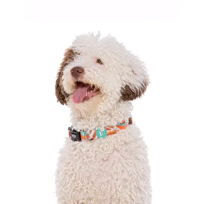 Dukier Collier Peace