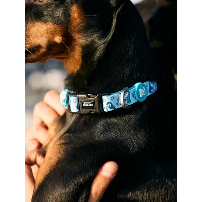 Dukier Collier Penguins