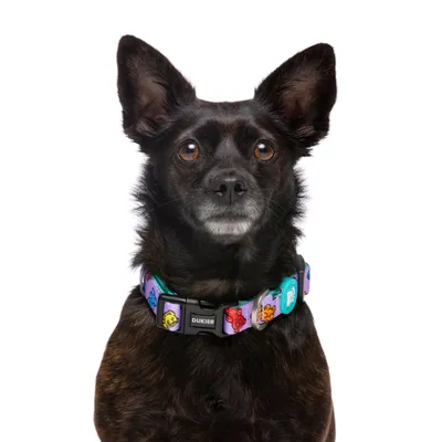 Dukier Collier Gummy Bears