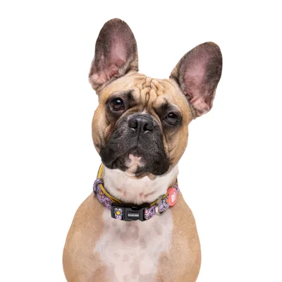 Dukier Collier Flower Power