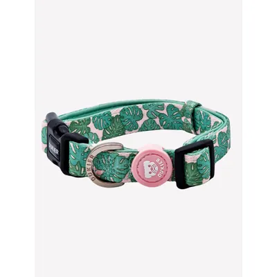 Dukier Collier Monstera