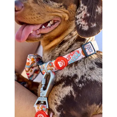 Dukier Collier Stickers