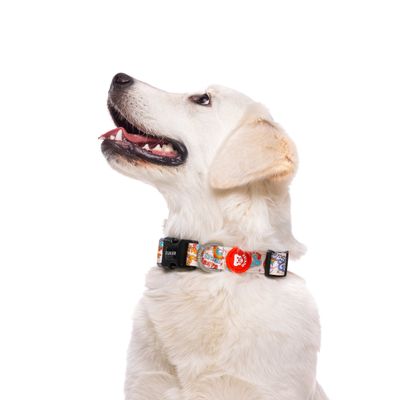Dukier Collier Stickers