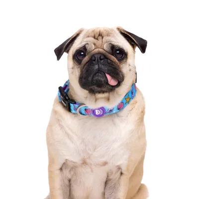 Dukier Collier Mermaid