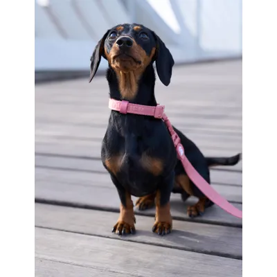 Dukier Collier Terracota