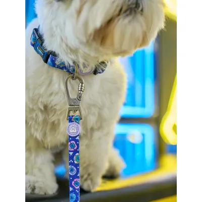 Dukier Collier Dukigochis