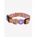 Dukier Collier Booh! pour chien